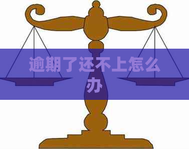 逾期了还不上怎么办