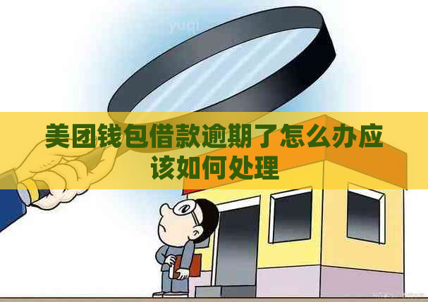 美团钱包借款逾期了怎么办应该如何处理
