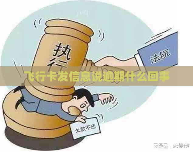 飞行卡发信息说逾期什么回事