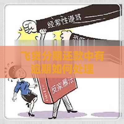 飞贷分期还款中有逾期如何处理