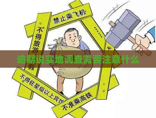 逾期说实地调查需要注意什么