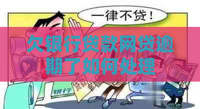 欠银行贷款网贷逾期了如何处理