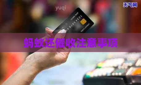 蚂蚁还注意事项