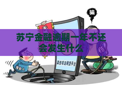 苏宁金融逾期一年不还会发生什么
