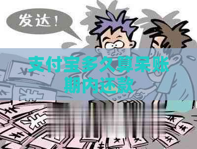 支付宝多久算呆账期内还款