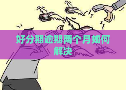 逾期两个月如何解决
