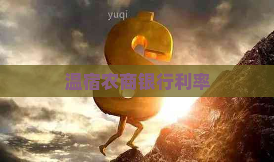 温宿农商银行利率