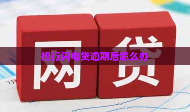 招行闪电贷逾期后怎么办