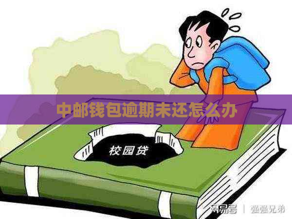 中邮钱包逾期未还怎么办