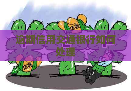 逾期信用交通银行如何处理