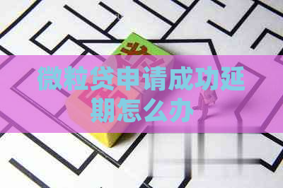 微粒贷申请成功延期怎么办