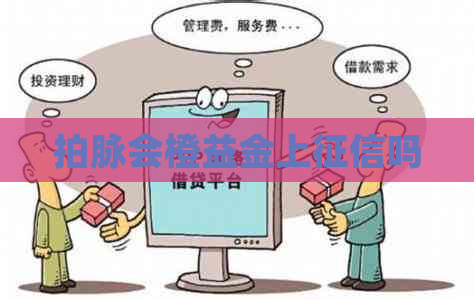 拍脉会橙益金上吗