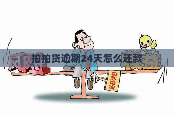 逾期24天怎么还款