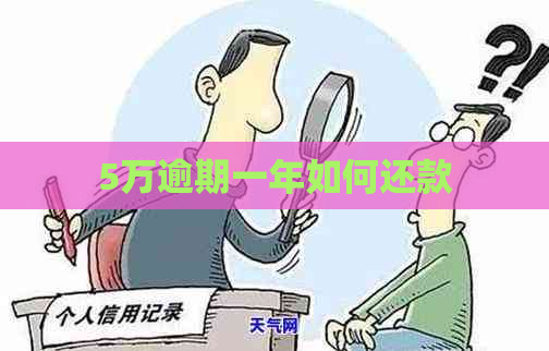5万逾期一年如何还款