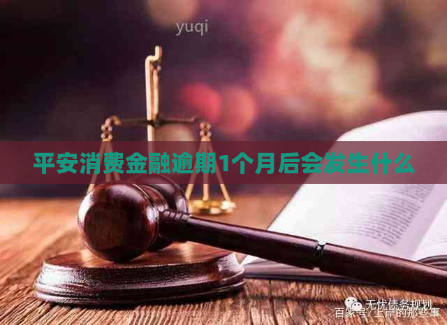 平安消费金融逾期1个月后会发生什么