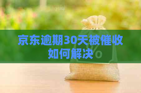 京东逾期30天被如何解决