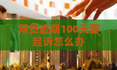 网贷逾期100天要起诉怎么办