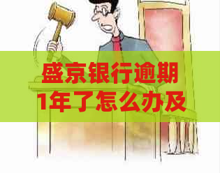 盛京银行逾期1年了怎么办及相关问题解答