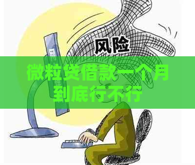 微粒贷借款一个月到底行不行