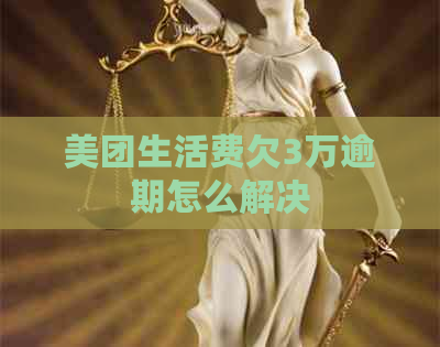 美团生活费欠3万逾期怎么解决