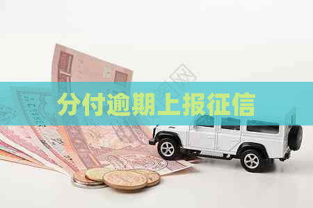 分付逾期上报