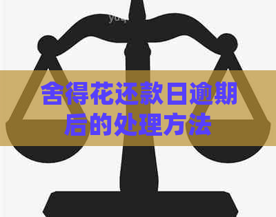舍得花还款日逾期后的处理方法