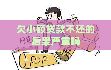 欠小额贷款不还的后果严重吗