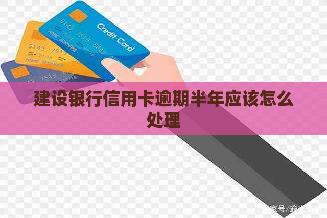 建设银行信用卡逾期半年应该怎么处理