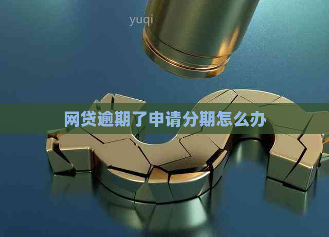网贷逾期了申请分期怎么办