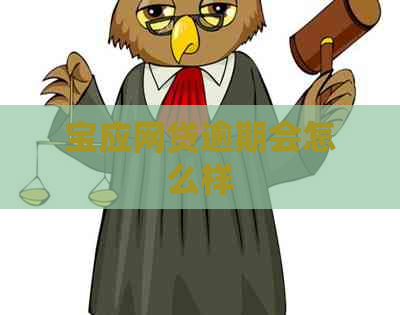 宝应网贷逾期会怎么样