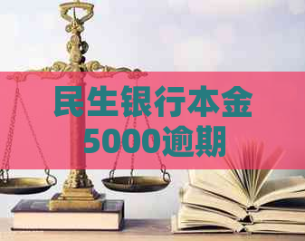 民生银行本金5000逾期