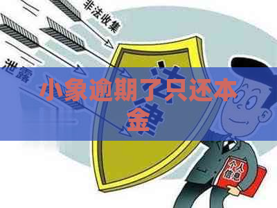 小象逾期了只还本金