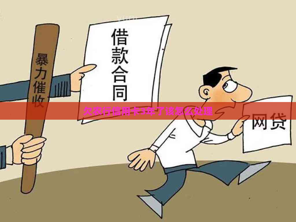 欠农行信用卡3年了该怎么处理
