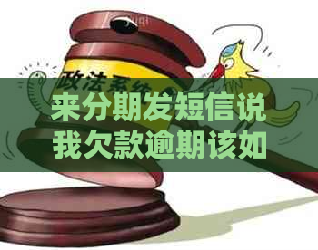 来分期发短信说我欠款逾期该如何处理