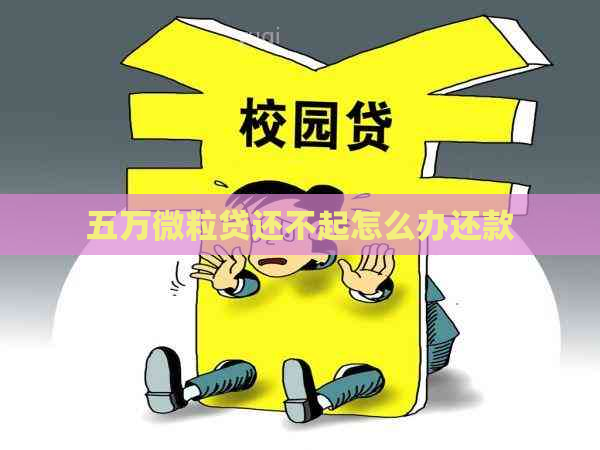 五万微粒贷还不起怎么办还款