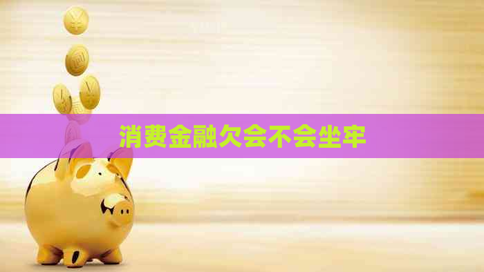 消费金融欠会不会坐牢