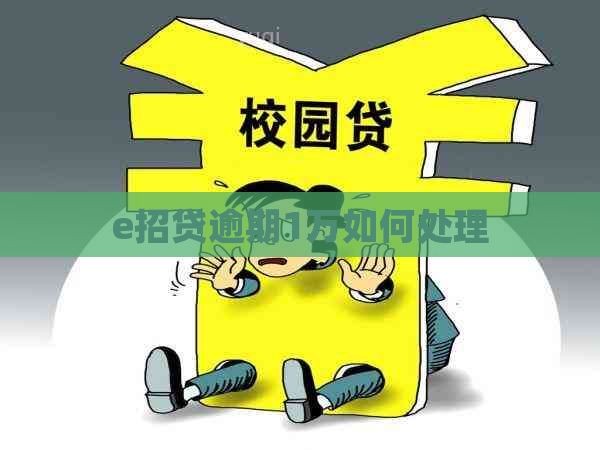 e招贷逾期1万如何处理