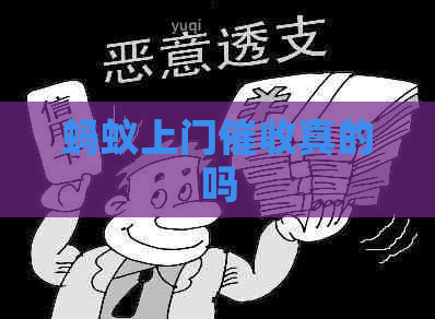 蚂蚁上门真的吗