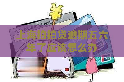 上海逾期五六年了应该怎么办