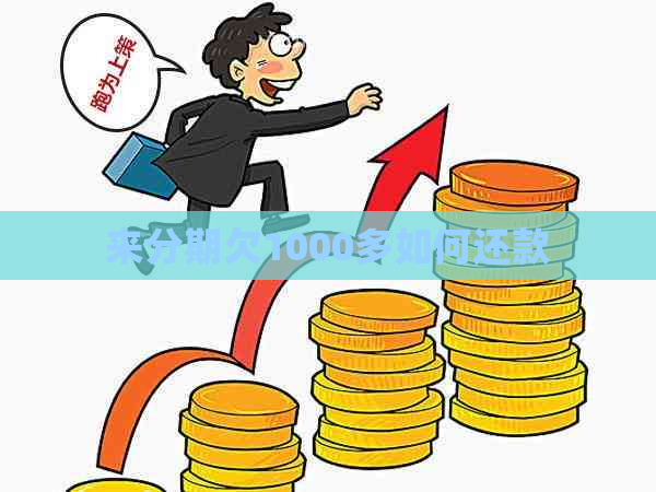 来分期欠1000多如何还款