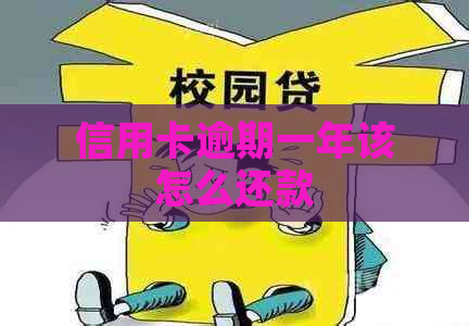 信用卡逾期一年该怎么还款