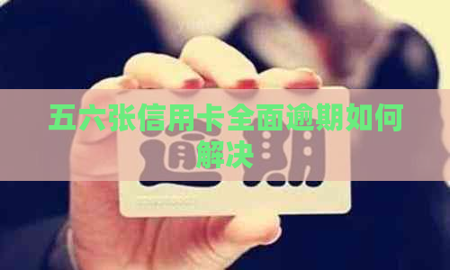 五六张信用卡全面逾期如何解决