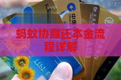 蚂蚁协商还本金流程详解