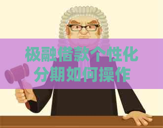 极融借款个性化分期如何操作