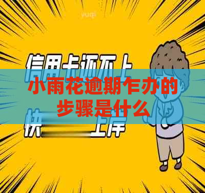 小雨花逾期乍办的步骤是什么