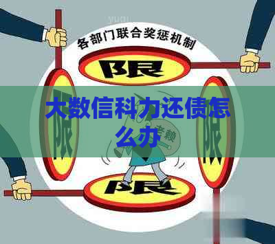 大数信科力还债怎么办