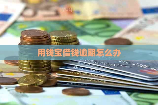 用钱宝借钱逾期怎么办