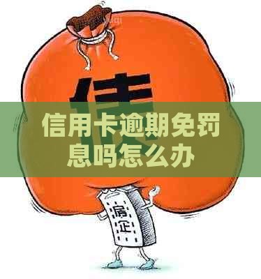 信用卡逾期免罚息吗怎么办