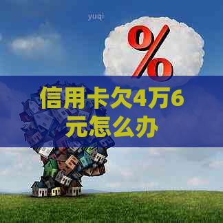 信用卡欠4万6元怎么办