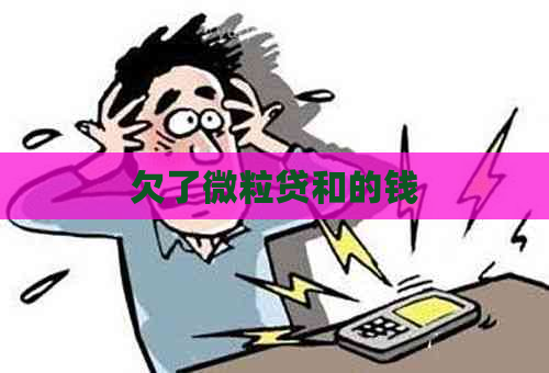 欠了微粒贷和的钱